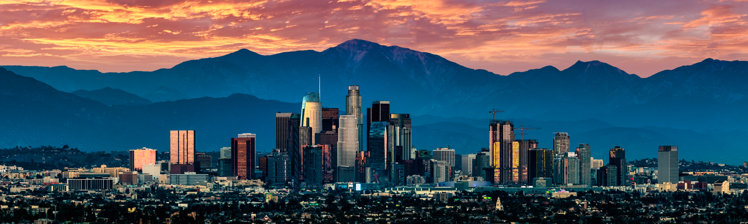 Banner image of Los Angeles