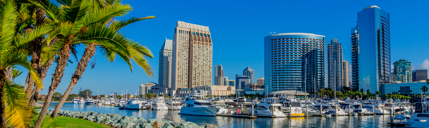 Banner image of San Diego